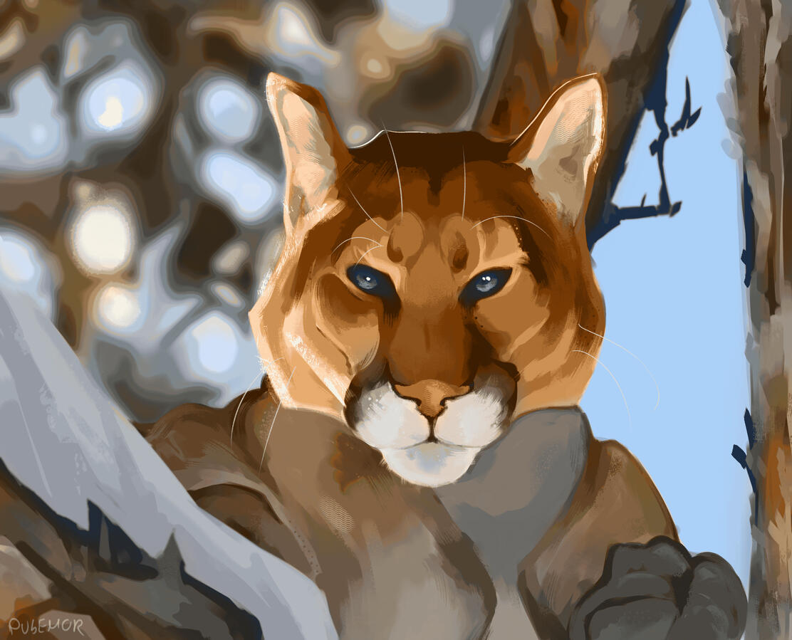 Gift (2024) Personal gift for a friend