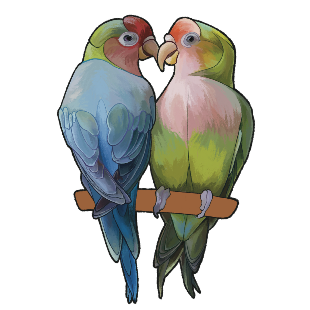 Lovebirds